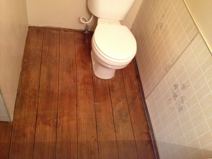 Bathroom After Bathroom After